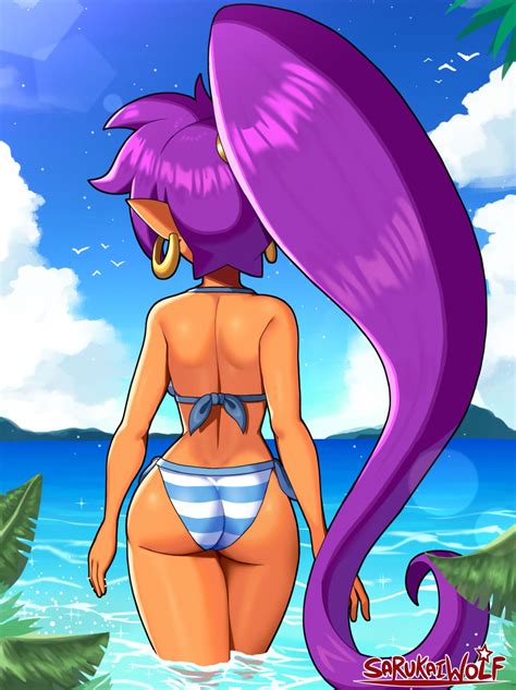 Sarukaiwolf Shantae Shantae Series Absurdres Commentary English