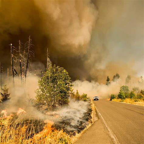 Wildfires Are Here To Stay How To Protect Against Smoky Skies