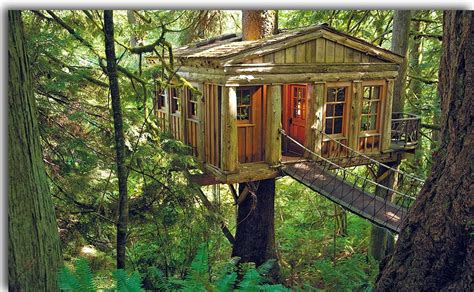 Glamping Not Your Typical Way Of Camping Tree House Treehouse Hotel