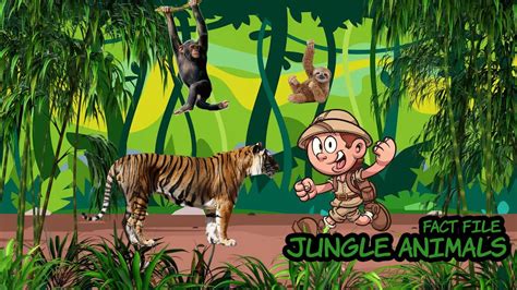 Jungle Animals Fact File Learning Jungle Animals For Kids Walking