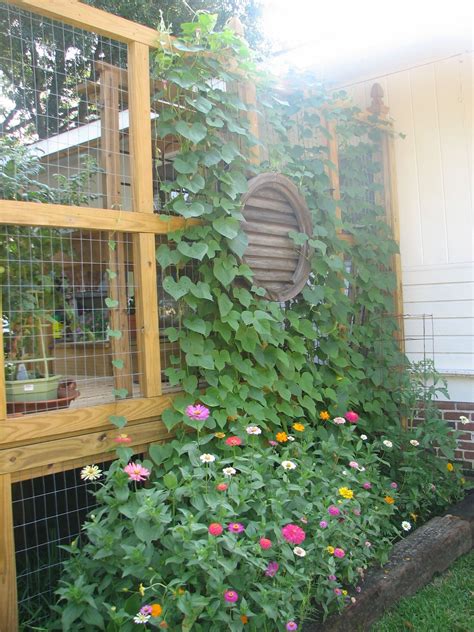 Collinsgru constructed the bar and privacy wall with both speed and quality in mind. Deck privacy wall with wire screen for plants | Garden ...