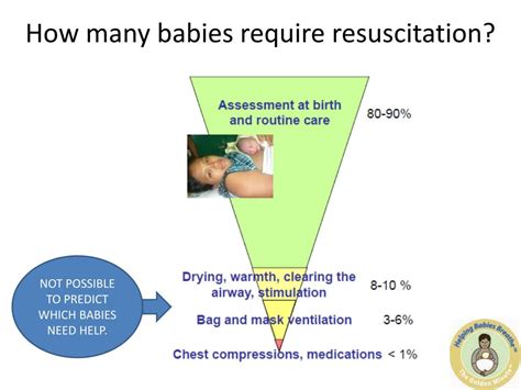Ppt Newborn Resuscitation Powerpoint Presentation Free Download Id