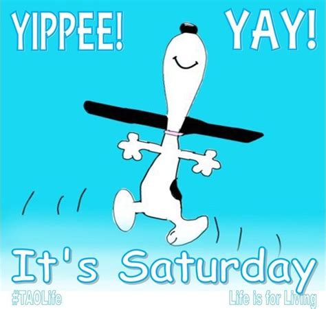 Its Saturday Snoopy Saturday Saturday Quotes Happy Saturday Saturday