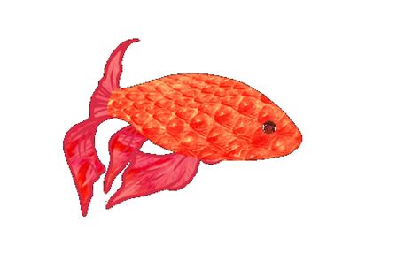 Swimming Gif Images Goldfish Swimming Animated Gif Gif Swimming Gif Cool Animations