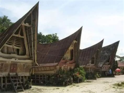 7 Rumah Adat Papua Nama Gambar Keunikan Dan Penjelasan