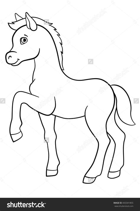 Download Foal Coloring For Free Designlooter 2020 👨‍🎨