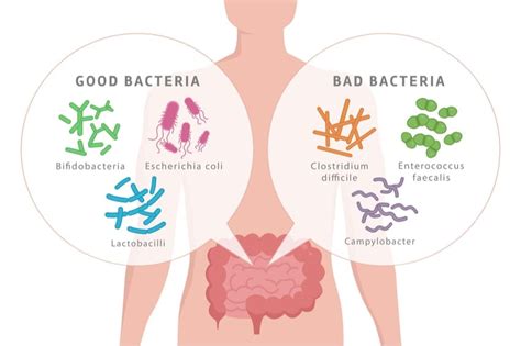 Dysbiose Ibs Klinikken