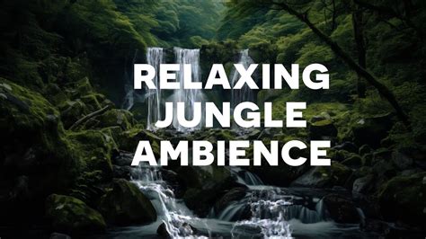 Waterfall Jungle Ambience And White Noise Nature Sounds Therapy Youtube