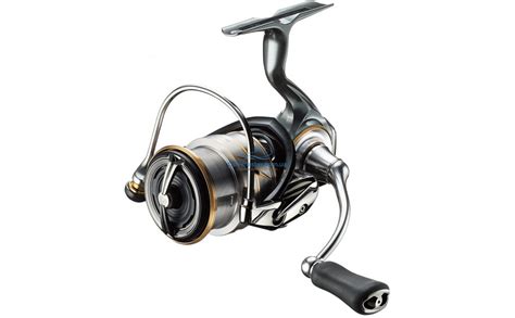 Daiwa Luvias Fc Lt C