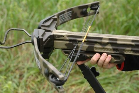 How To Choose Your Crossbow Hunting Arrows 2023