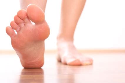 (from schuenke m, schulte e fig. 10 Facts About Your Feet - Kids Discover