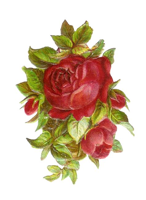 Free Vintage Roses Images Download Free Vintage Roses Images Png