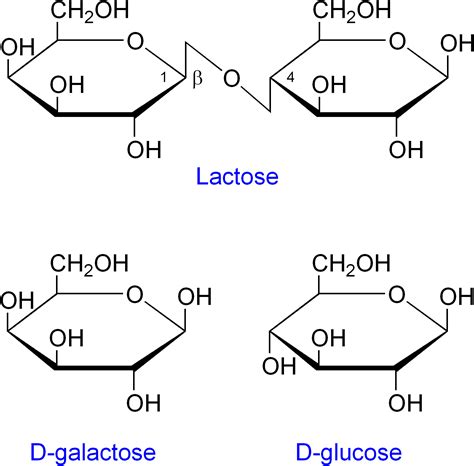 What Are Carbohydrates — Structure And Function Expii