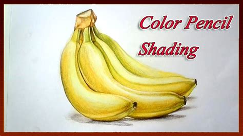 By using these basic techniques, you'll be able to draw every fruit you can get your hands on. Realistic Color Pencil Drawing Tutorial How to Draw Fruits ...