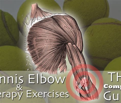 Learn the top 10 tennis elbow exercises of all time that will help you recover fast at home by strengthening your affected tendons and muscles. Tennis Elbow & Exercises for Therapy: The Complete ...