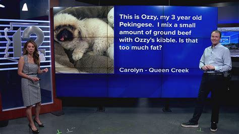 Ask the Expert: All things pet safety with Brett the Vet | 12news.com