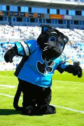 Panther Nation Carolina Panthers Football American Football Team