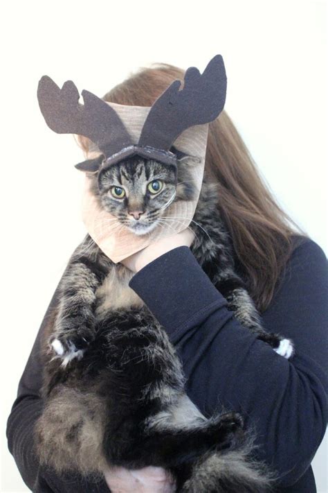 5 Easy And Cute Diy Cat Halloween Costumes Styleoholic
