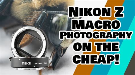 However, this can be difficult if you have a long lens that is heavy. Nikon Z Macro Photography on the cheap! - YouTube