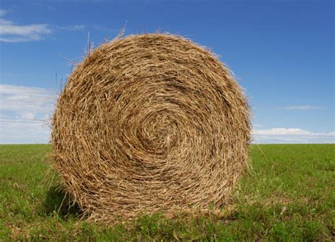 Why Do Bales Of Hay Come In Different Shapes Wonderopolis