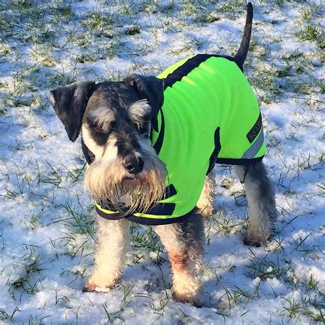 Polartec Fleece Dog Coat Rainproof Breathable Warm And Washable