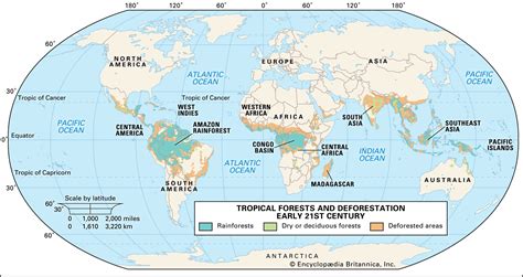 This 3,000 mile (4800 km) wide band is called the tropics. tropical rainforest | Climate, Animals, & Facts | Britannica