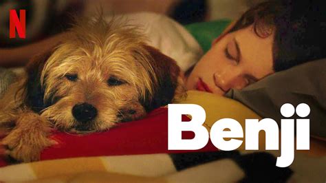 Is Benji 2018 Available To Watch On Uk Netflix Newonnetflixuk