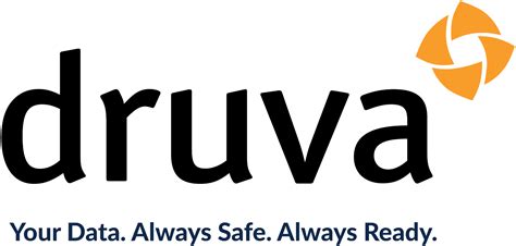 Brand Usage Guides And Assets Druva