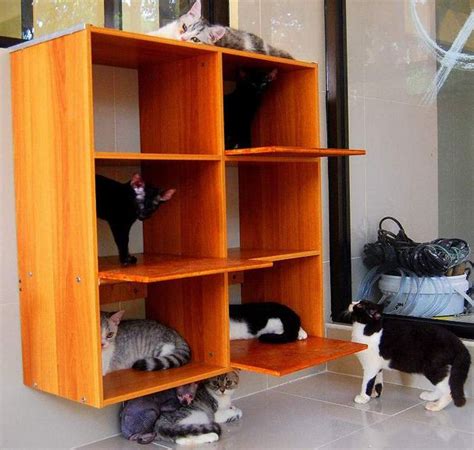 Teguh w , madiun ( mei 2008 ). 45 Desain Kandang Kucing Modern Tingkat dan Sederhana ...