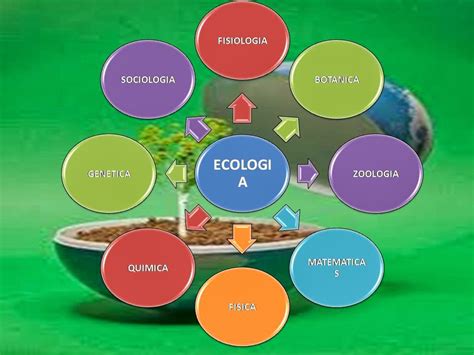 Ecologia ¿que Es EcologÍa