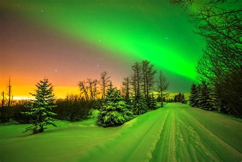 Lights Aurora Borealis Trees Stars Road Sky Snow Winter