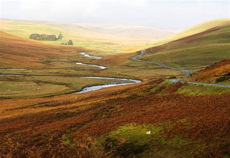 Cymru) is one of the united kingdom 's constituent countries. Landschaft in Wales (Forum für Naturfotografen)