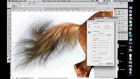 Resize mp4, avi, mpg, webm, mov, and more. How to Quickly Select Images - Cut Out Detailed Images in ...
