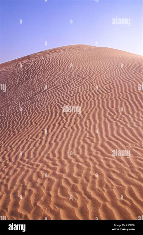 Sand Dune Thar Desert Rajasthan India Stock Photo Alamy