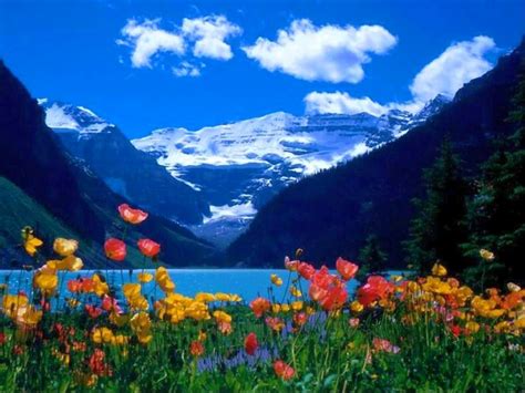 Download Beautiful Sceneries Of Nature For Wallpaper Gallery