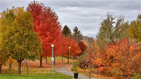 Photos From Around Kamloops And Area British Columbia Canada Over 2955