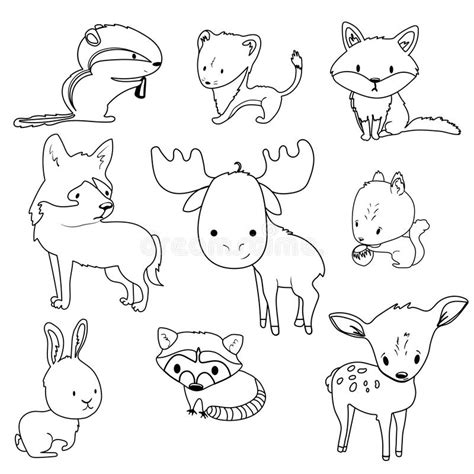 Forest Animals Outlines Set For Coloring Stock Vector Illustration Of