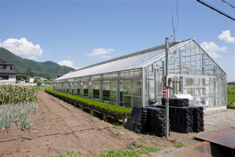 Greenhouse In Rural Japan Stock Photo Download Image Now Greenhouse