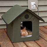 Pictures of Waterproof Heated Cat House