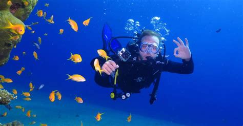 Eliat Introduction To Scuba Diving Getyourguide
