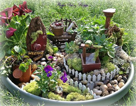 Studio Create How To Build A Container Fairy Garden