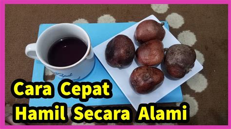 Tak hanya mudah ditemukan di areal mekah dan madinah, buah ini merebus biji dan kulit ambil kulit dan biji buah zuriat kemudian rebus sampai air rebusan bewarna seperti teh. Cara Mengolah dan Mengkonsumsi Buah Zuriat / Zuriyat Untuk ...