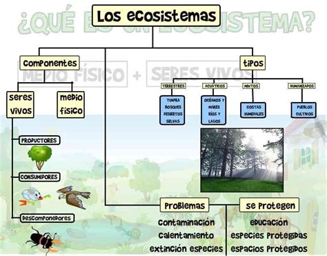 Mapa Conceptual De Los Tipos De Ecosistemas Geno