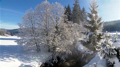 Einzigartige hintergrundbilder für ihren desktop, das tablet oder smartphone. Winterbilder Tiere Als Hintergrundbild : Winterbilder ...