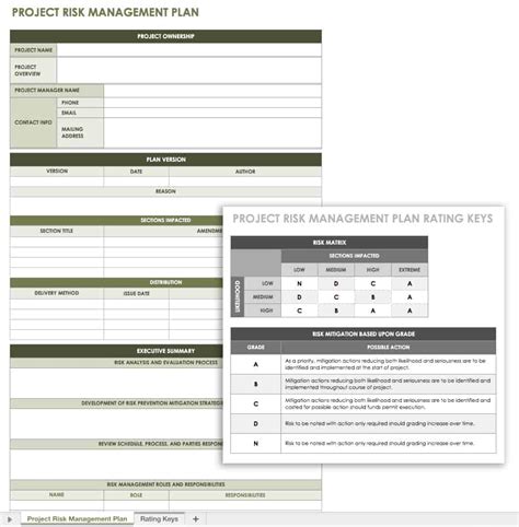 Project Risk Management Plan Template Excel Free Printable Form