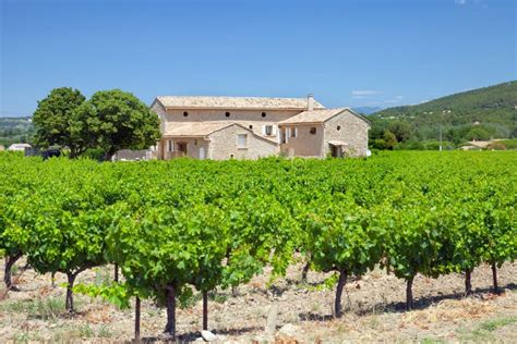 French House In Vineyard In Provence South France Stock Photo Image