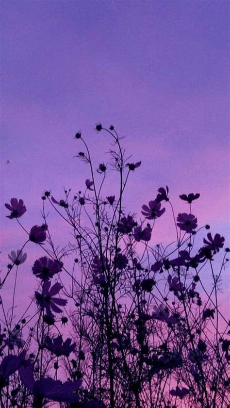 You can also upload and share your favorite purple aesthetic follow us for regular updates on awesome new wallpapers! You can get your purple room inspiration from anywhere ...