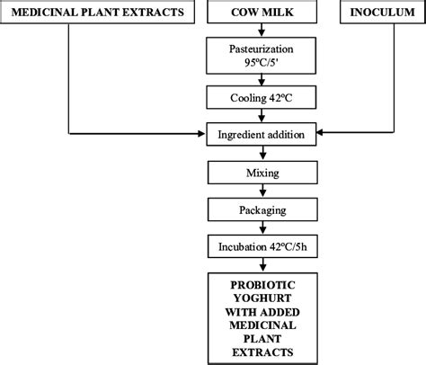 Techological Flowchart For Manufacturing The New Product Probiotic