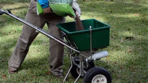 Lime For Lawns When And How To Lime Your Lawn