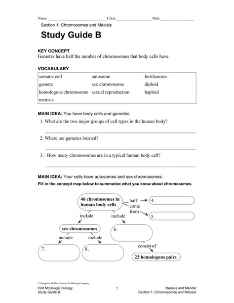 131 questions with answers and explanations on genes two copies of chromosome 14, one copy inherited from each parent, form one of the pairs. Mendel And Meiosis Worksheet | Kids Activities